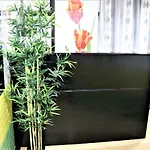 Sydney Hostel