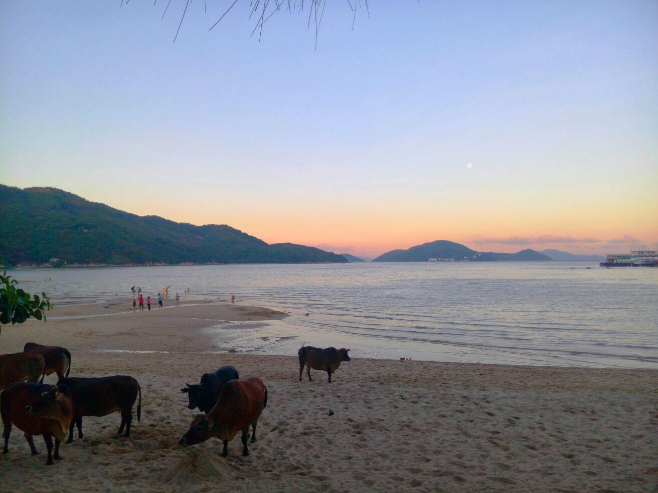 Tempat peranginan Silvermine Beach 4*