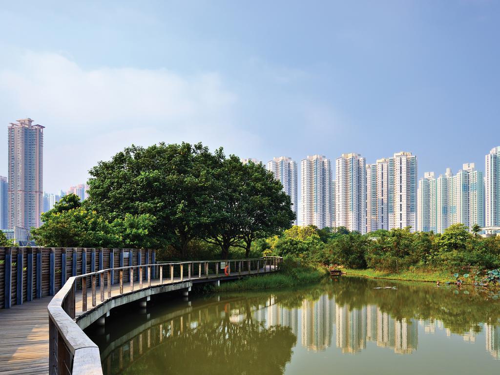 Cozi-wetland Hong Kong