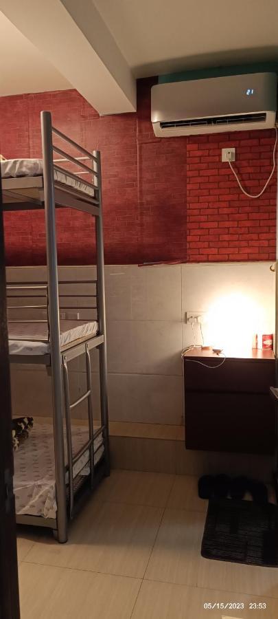 The Cultural Crashpad - 康乃馨旅館