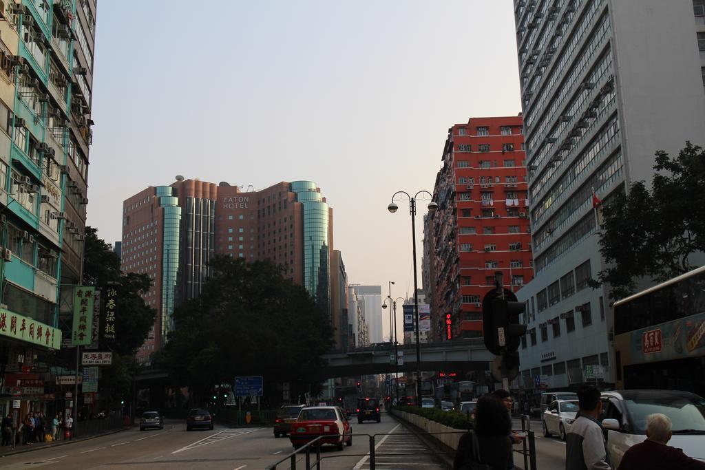 Orchid Wisma tamu