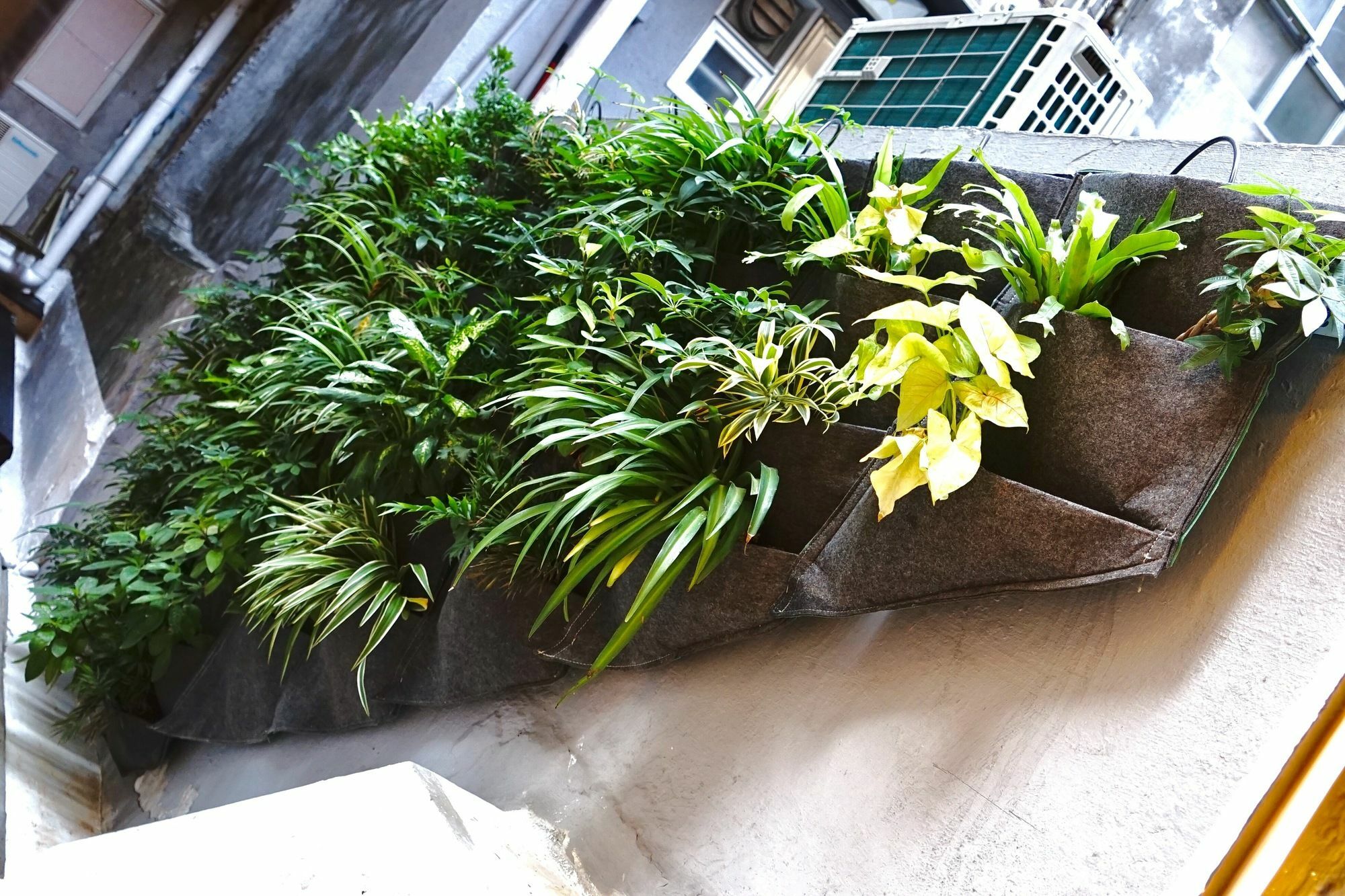 Sleeep Hkg Gough St Hong Kong