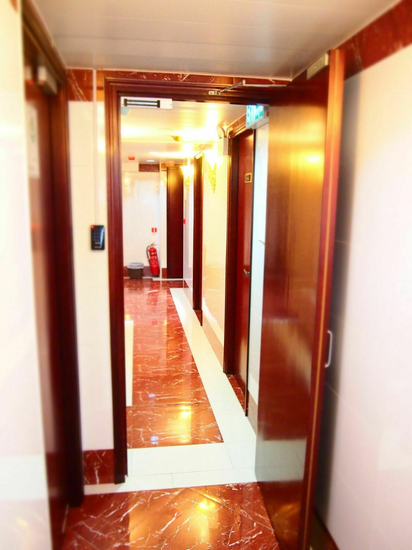 David Lounge Hostel
