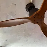 Wontonmeen