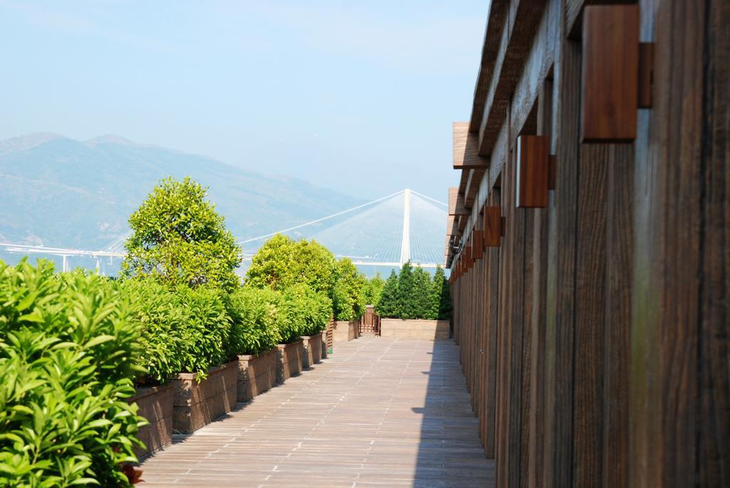Noah's Ark & Hong Kong