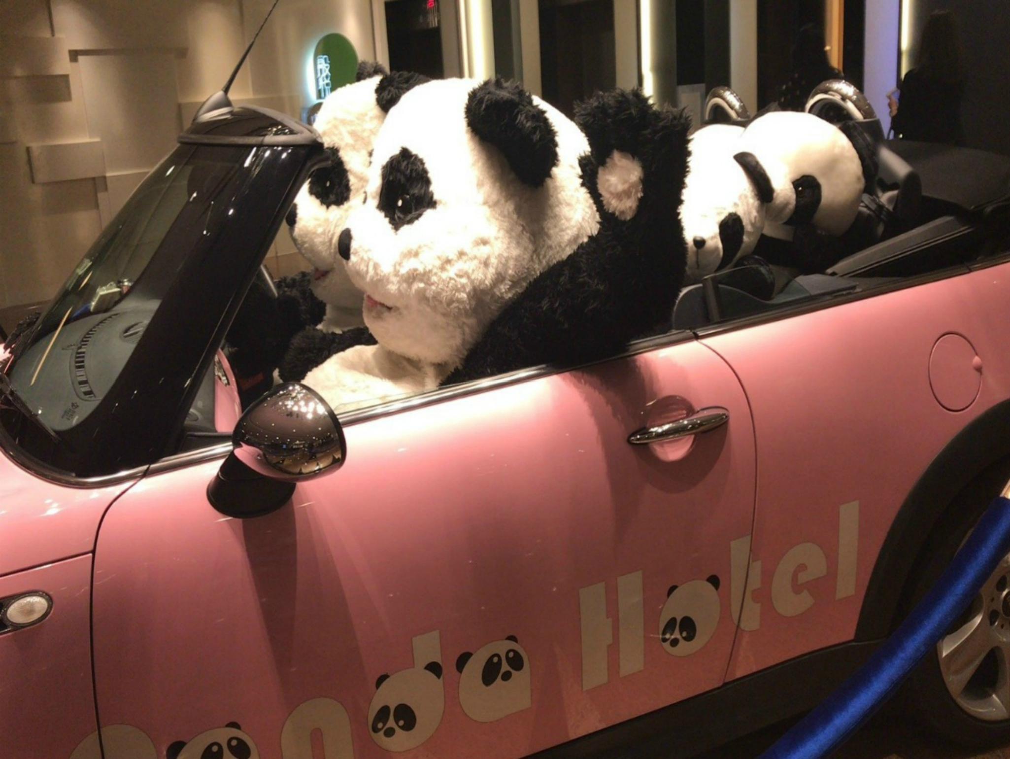 Panda 4*