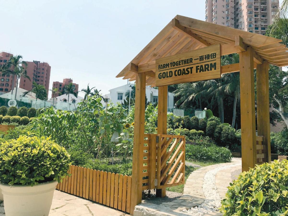 Gold Coast Hotel