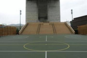 Noah's Ark & Hong Kong