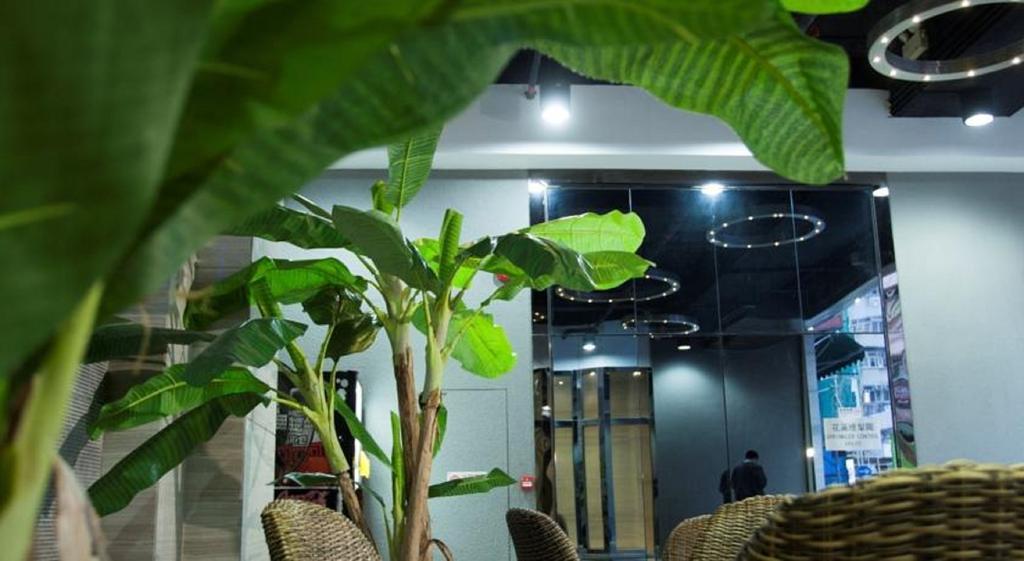 M1 Hotel