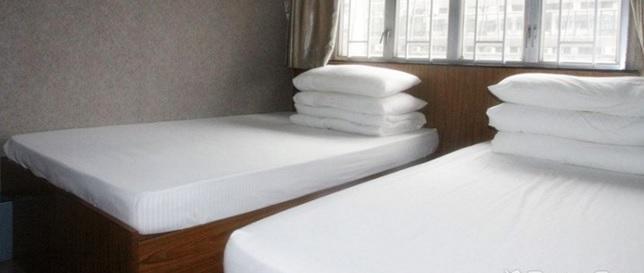 Guest house New Style