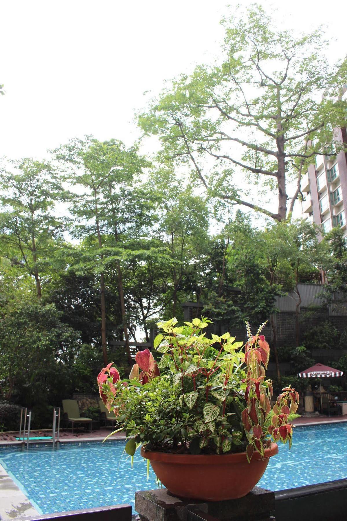 Resort Royal View 4*