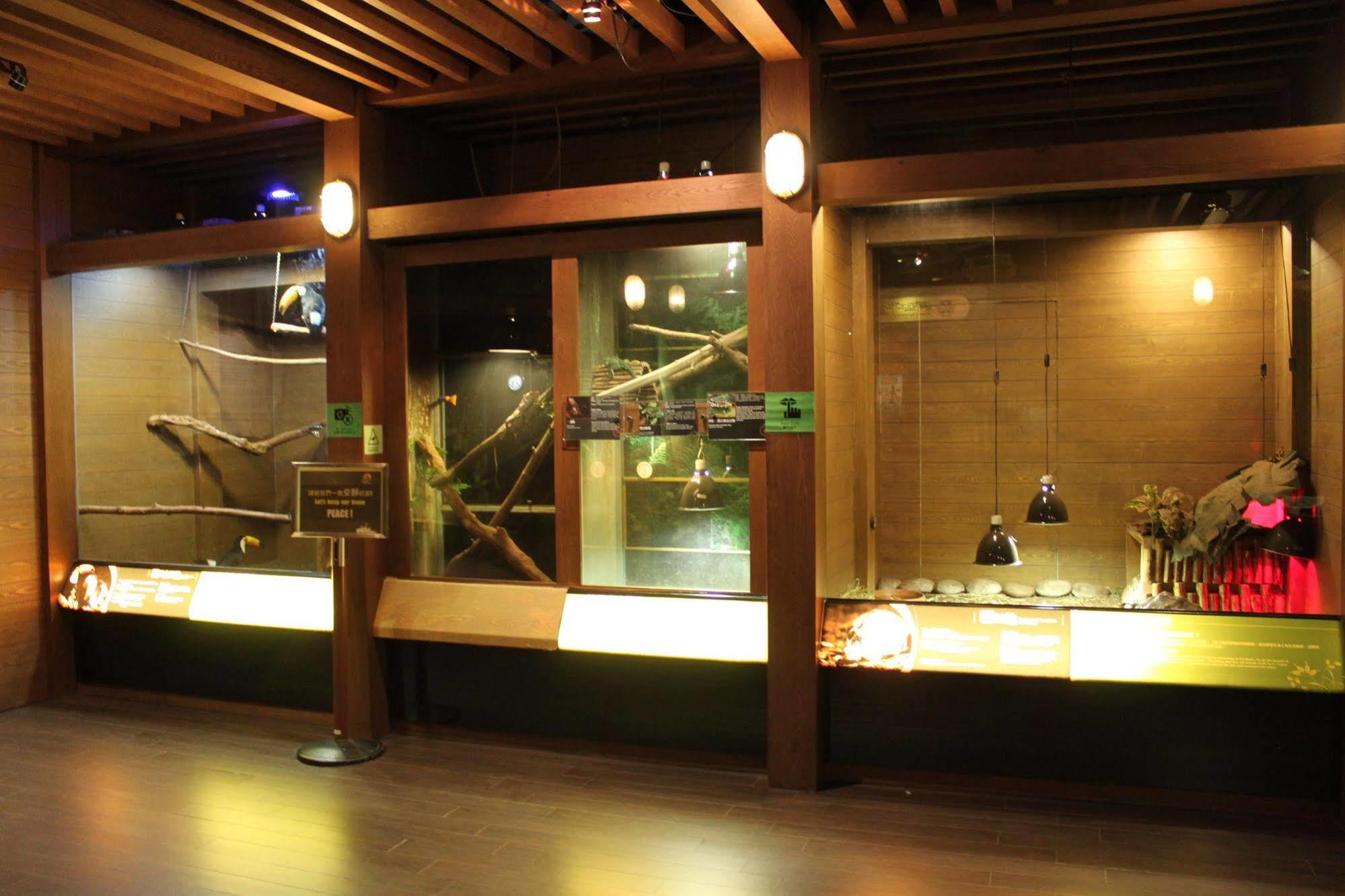 Noah's Ark & Resort Hong Kong