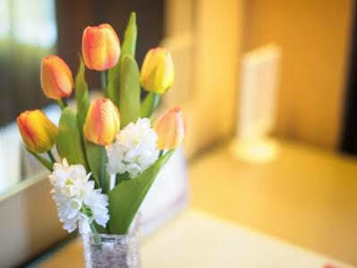 Best Western Plus Tsim Sha Tsui Hotel 4*